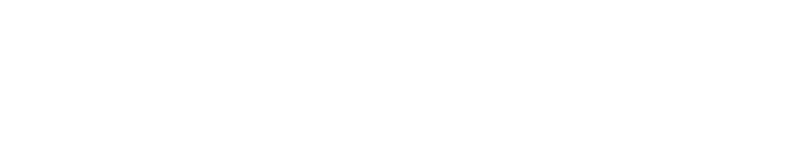 Flexi Biler